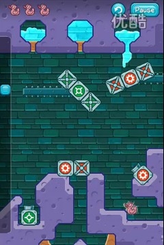 AG拿下冠軍后又拿下了飛豬